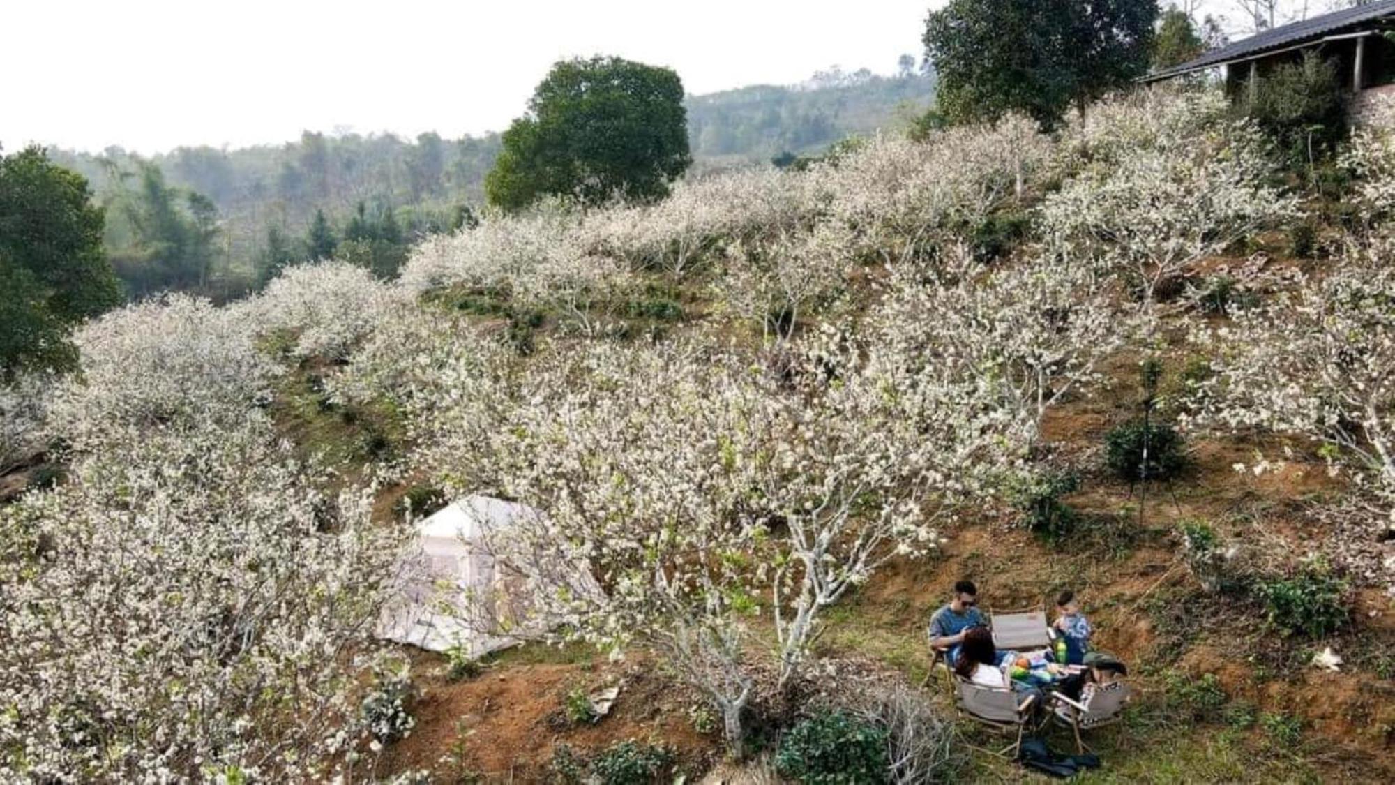 Nam Thia Homestay イエンバイ エクステリア 写真